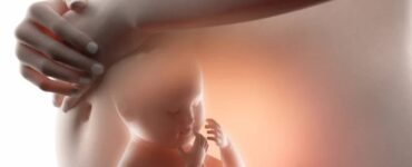 bambino nella pancia della mamma