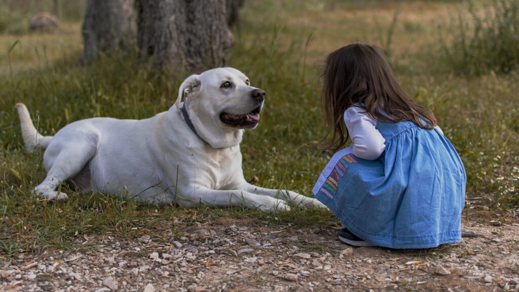 cani bambini